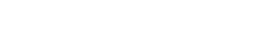 BIDSA